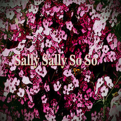 Sally Sally so So
