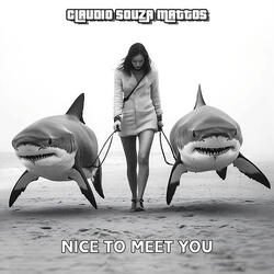 Nice to Meet You