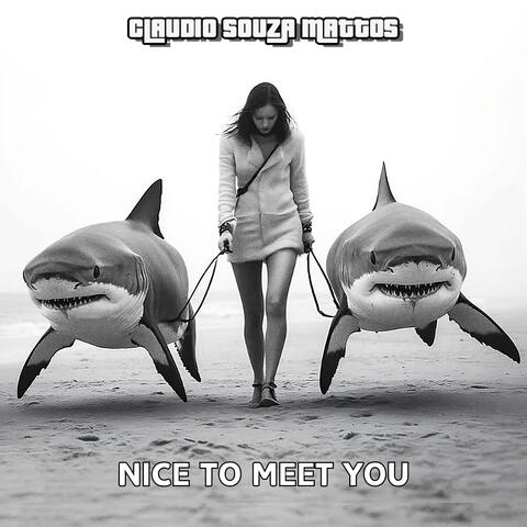 Nice to Meet You