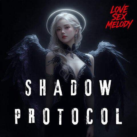 Shadow Protocol