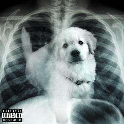 Dog in Me