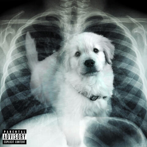 Dog in Me
