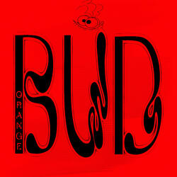 ORANGE BUD