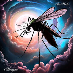 Mosquito