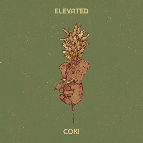 Elevated