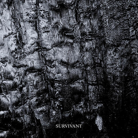 SURVIVANT