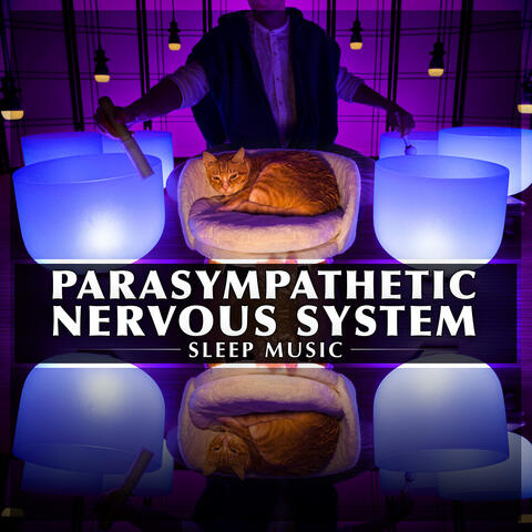 Parasympathetic Nervous System Sleep Music