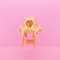 ¡Roar! (Demo)