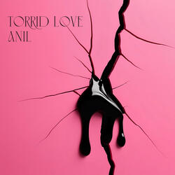 Torrid Love