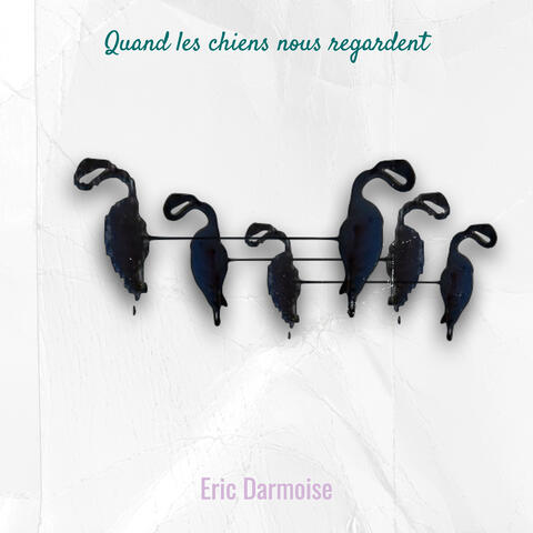 Quand les chiens nous regardent