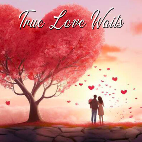 True Love Waits