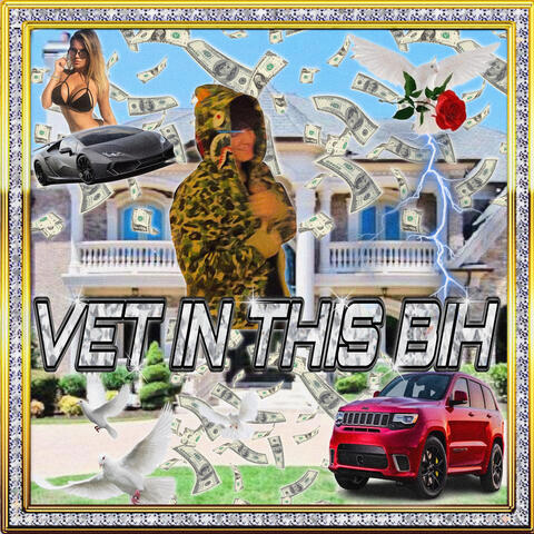 Vet in This Bih