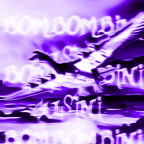 Bombombini Gusini Funk (Versions)