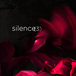 silence (3)