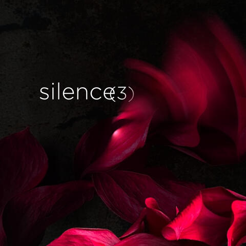 silence (3)