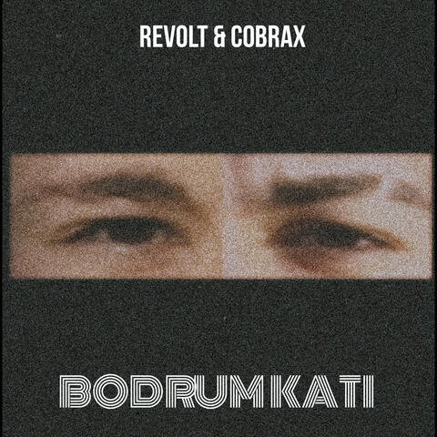 Bodrum Katı