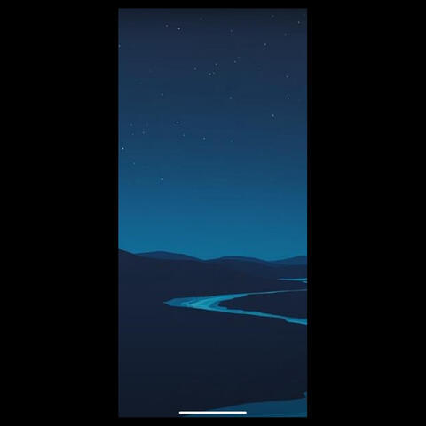 Digital Shadows