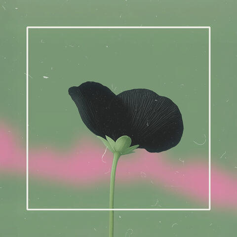 All You Need