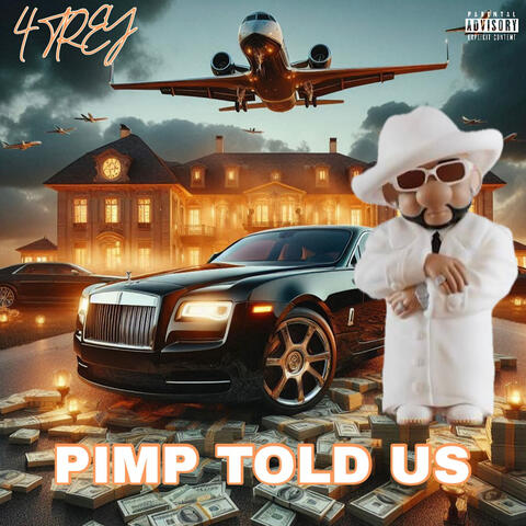 Pimp Told Us