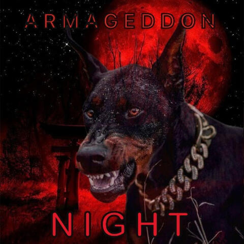 Night