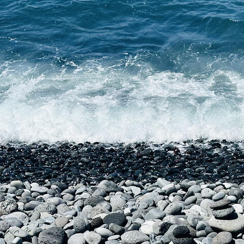 To the Sea