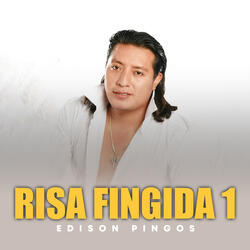 Risa Fingida 1