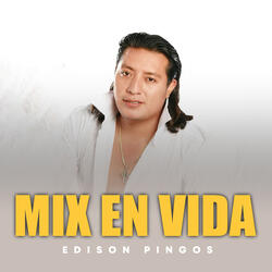 Mix En Vida