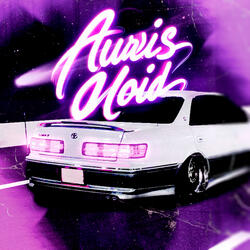 Auris Void