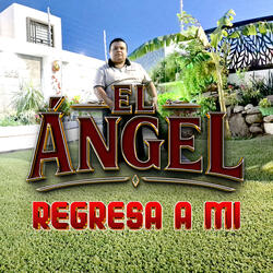Regresa a Mi