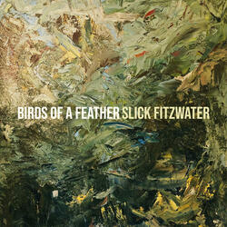 Birds of a Feather