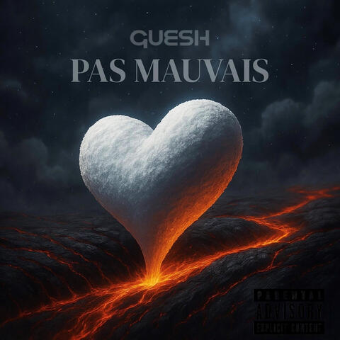 Pas mauvais
