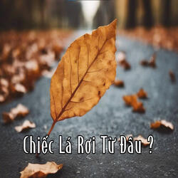 Chiếc Lá Rơi Từ Đâu ?