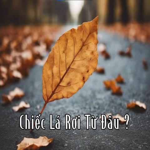 Chiếc Lá Rơi Từ Đâu ?