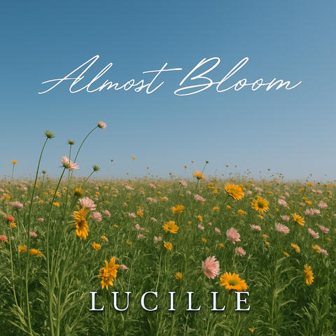 Almost Bloom
