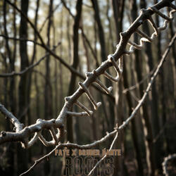 Roots