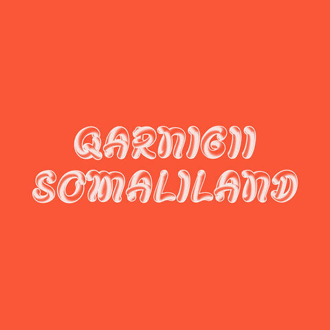 Qarnigii Somaliland
