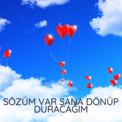 Sözüm Var Sana Dönüp Duracağım