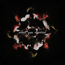 What You Wanted