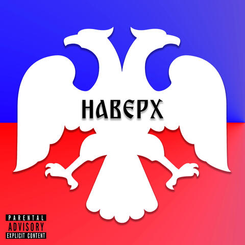 Наверх
