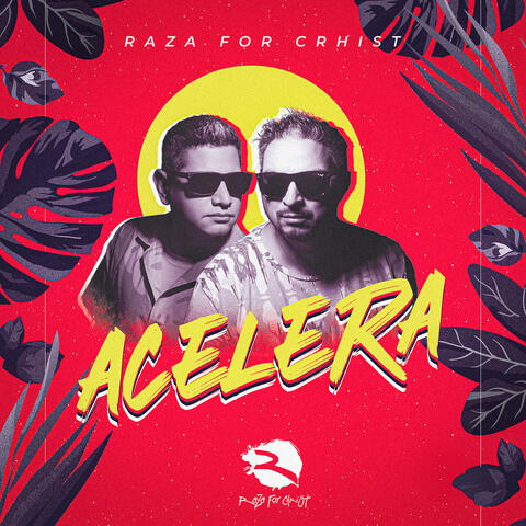 Acelera