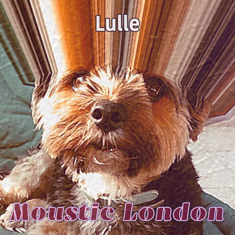 Moustic London