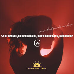 Verse,Bridge,Chorus,Drop