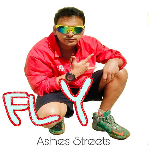 Fly