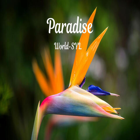 Paradise