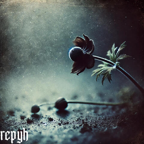 Die Knospen Fallen Schon Wieder (Remastered 2025)