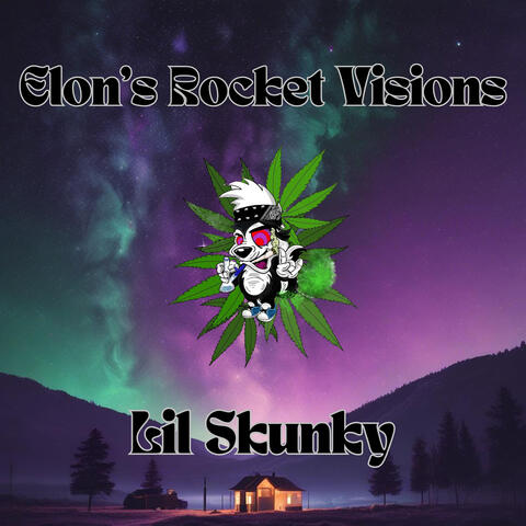 Elon's Rocket Visions