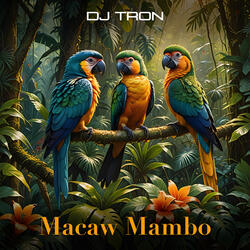 Macaw Mambo