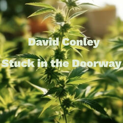 Stuck in the Doorway