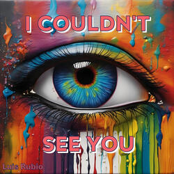 I Couldn't See You
