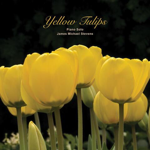 Yellow Tulips (Piano Solo)
